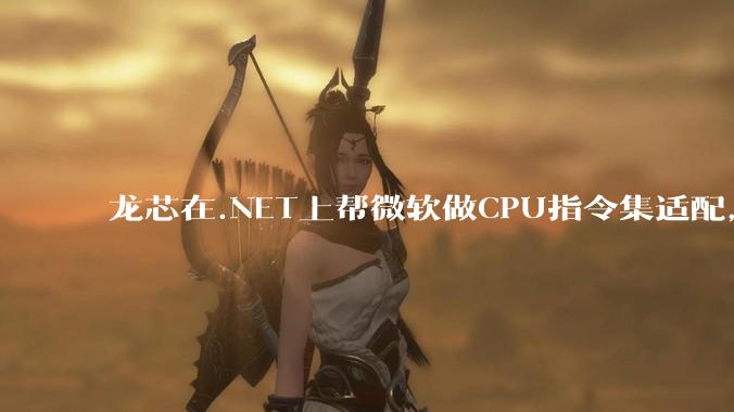 龙芯在.NET上帮微软做CPU指令集适配，为什么到国内.NET开发者这里成了维护龙芯.NET版本?